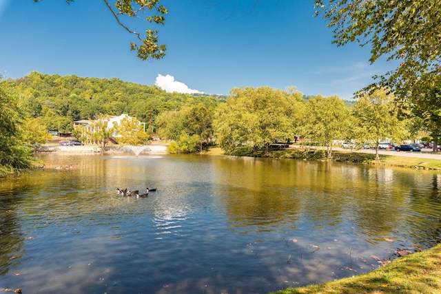900 Mountain Creek Rd # 363, Chattanooga, TN 37405 - view of water feature featuring a view of trees