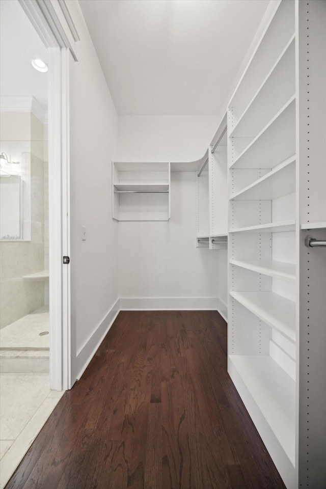 spacious closet with dark wood-style floors