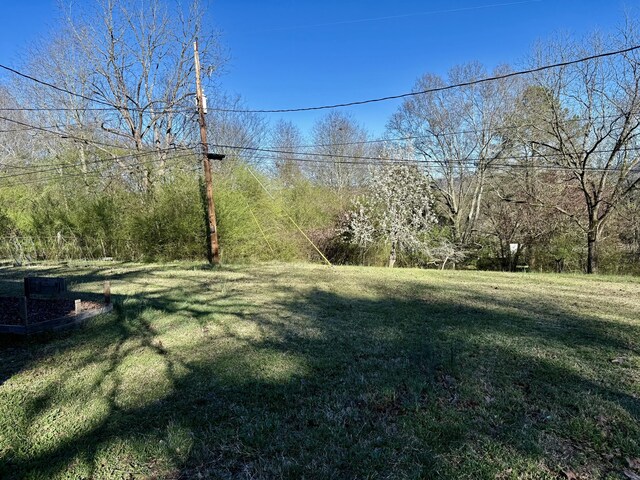 64 Hartline Hill Rd, Summerville, GA 30747 - photo 4