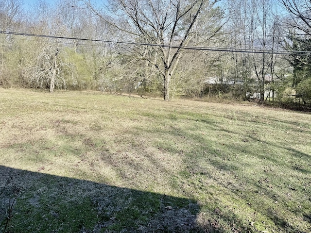 64 Hartline Hill Rd, Summerville, GA 30747 - photo 21