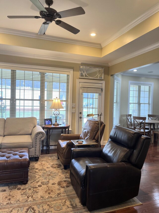 1760 Holden Farm Pl, Ooltewah, TN 37363 - living area featuring a tray ceiling, crown molding, ceiling fan, and hardwood / wood-style flooring