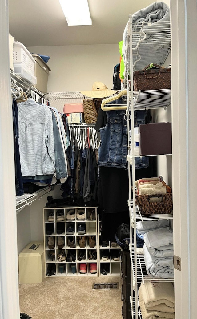 1760 Holden Farm Pl, Ooltewah, TN 37363 - walk in closet featuring carpet floors