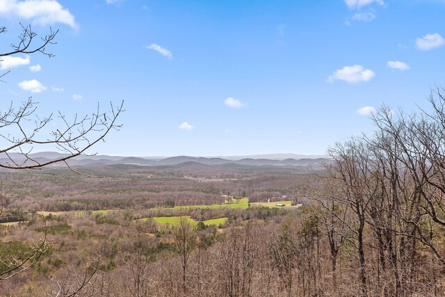 2345 County Rd 865, Gaylesville, AL 35973 - mountain view
