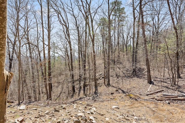 2345 County Rd 865, Gaylesville, AL 35973 - view of nature
