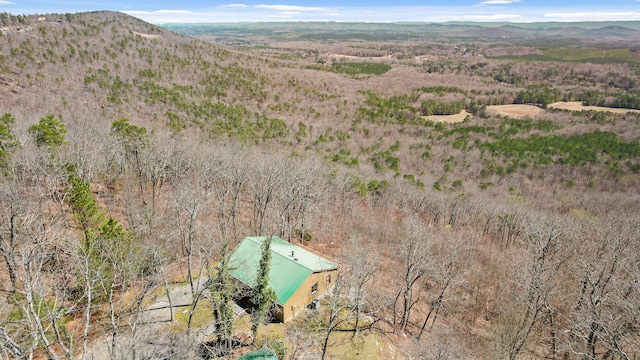 2345 County Rd 865, Gaylesville, AL 35973 - drone / aerial view with a mountain view