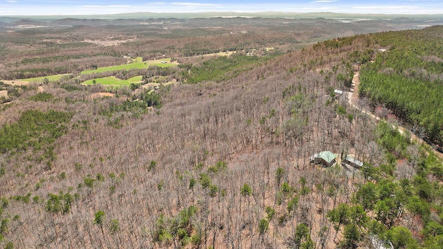 2345 County Rd 865, Gaylesville, AL 35973 - drone / aerial view