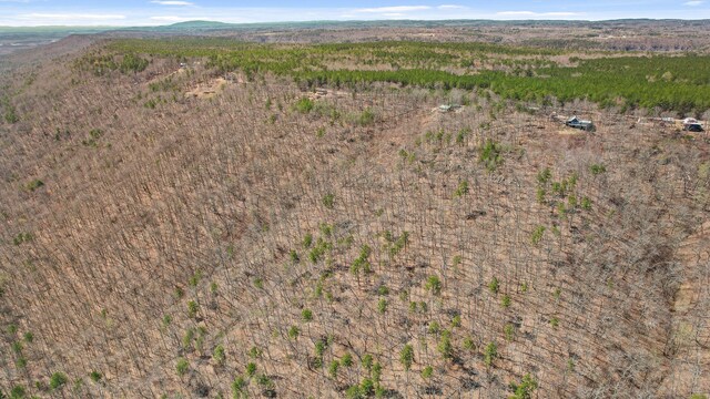 2345 County Rd 865, Gaylesville, AL 35973 - bird's eye view