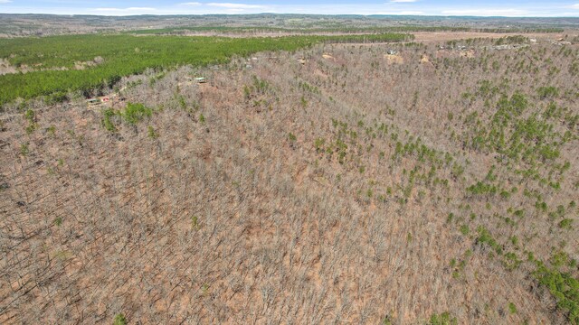 2345 County Rd 865, Gaylesville, AL 35973 - birds eye view of property