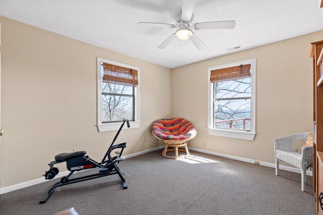 2345 County Rd 865, Gaylesville, AL 35973 - exercise room featuring baseboards, visible vents, a wealth of natural light, and carpet floors