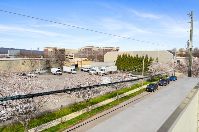 295 W 19th St, Chattanooga, TN 37408 - exterior space