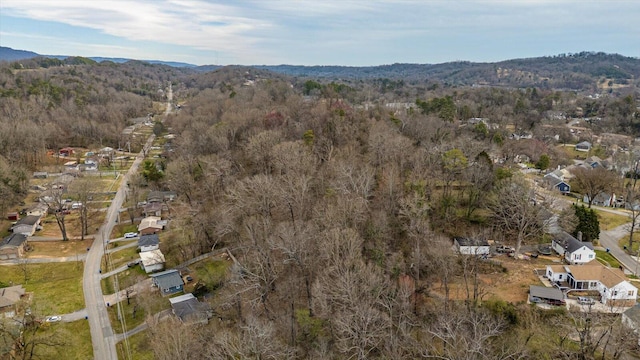 0 Hedgewood Dr, Chattanooga, TN 37405 - photo 6