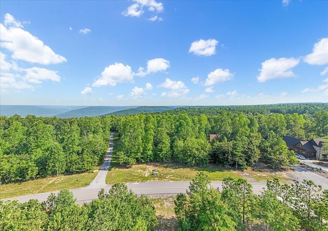 700 Cherokee Path Unit Jf275, Jasper, TN 37347 - photo 1