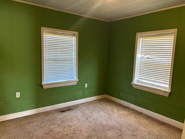 unfurnished room with visible vents, baseboards, carpet, and crown molding
