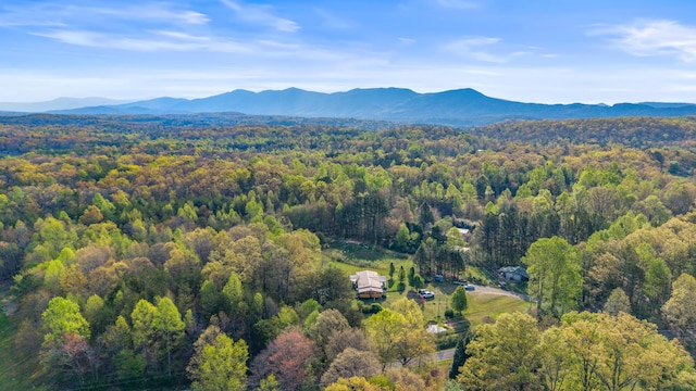 105 Massingale Rd, Tellico Plains, TN 37385 - bird's eye view with a mountain view and a view of trees