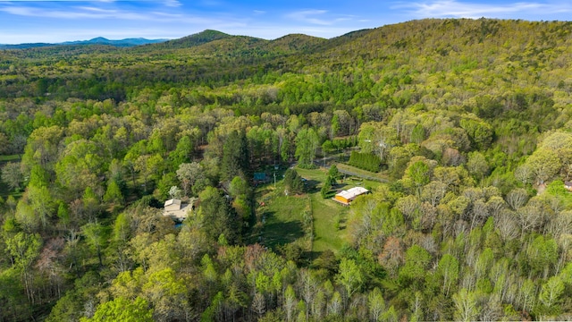 105 Massingale Rd, Tellico Plains, TN 37385 - birds eye view of property with a mountain view and a wooded view