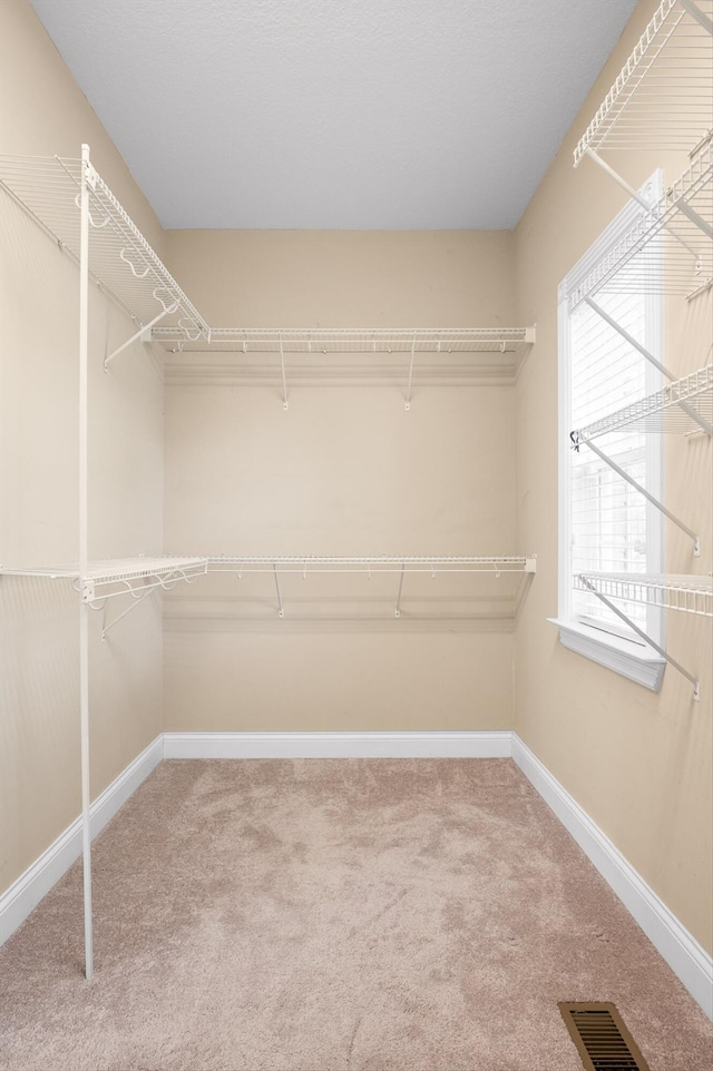 6970 Bullock Way, Hixson, TN 37343 - spacious closet featuring carpet