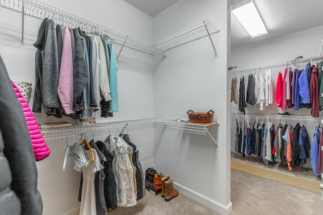walk in closet featuring carpet flooring