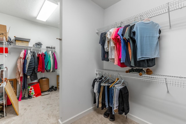 spacious closet featuring carpet flooring
