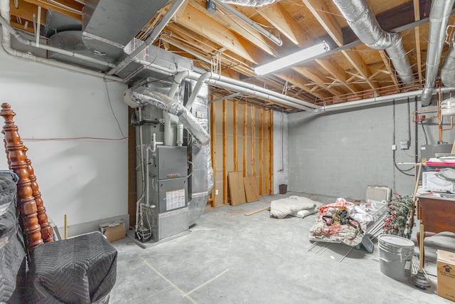 unfinished below grade area with heating unit