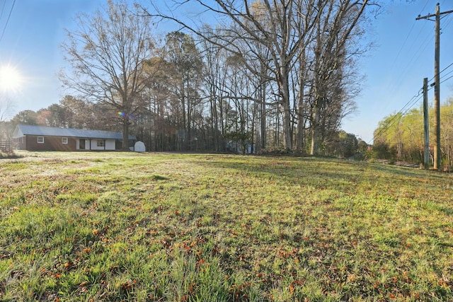 view of yard