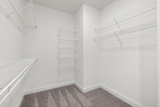 11819 Herons Haven Dr # 102, Soddy Daisy, TN 37379 - spacious closet with carpet floors