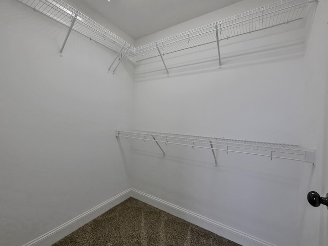 7954 Burgundy Cir Unit 91, Chattanooga, TN 37421 - walk in closet featuring dark colored carpet