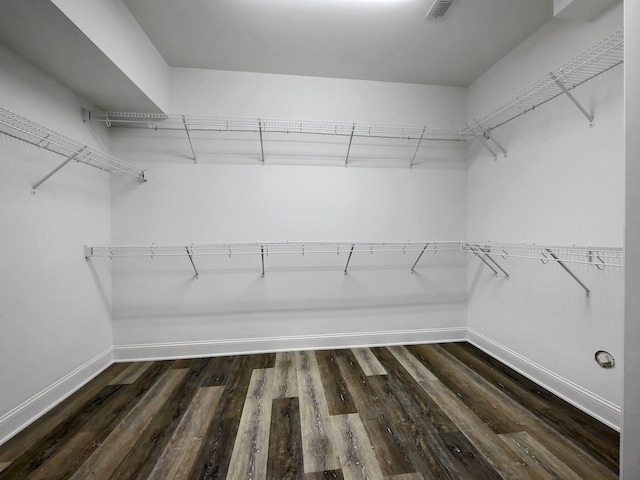 7954 Burgundy Cir Unit 91, Chattanooga, TN 37421 - spacious closet with visible vents and dark wood finished floors