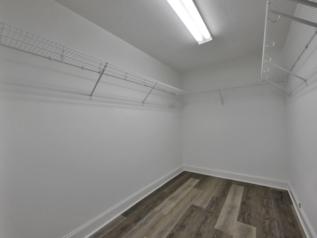 7954 Burgundy Cir Unit 91, Chattanooga, TN 37421 - spacious closet with dark wood-type flooring