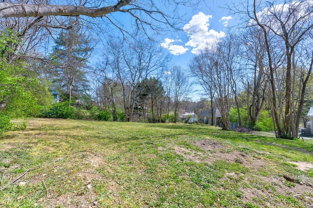 934 Hulana St, Rossville, GA 30741 - view of yard