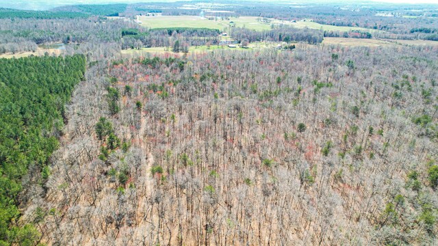 0 County Road 492, Henagar, AL 35978