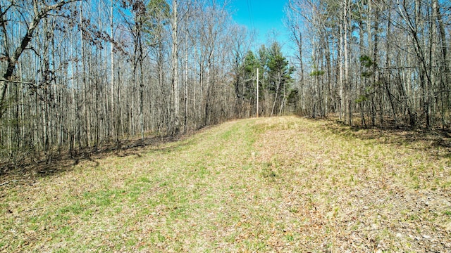 0 County Road 492, Henagar, AL 35978