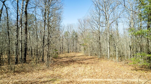 0 County Road 492, Henagar, AL 35978
