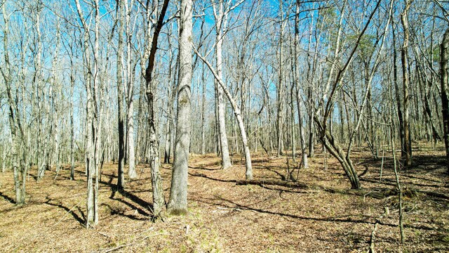 0 County Road 492, Henagar, AL 35978