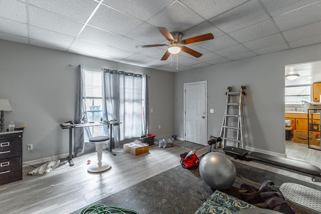 exercise area featuring a paneled ceiling, wood finished floors, ceiling fan, and plenty of natural light