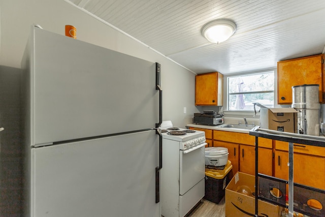 kitchen featuring brown cabinetry, electric range, light wood-type flooring, and freestanding refrigerator