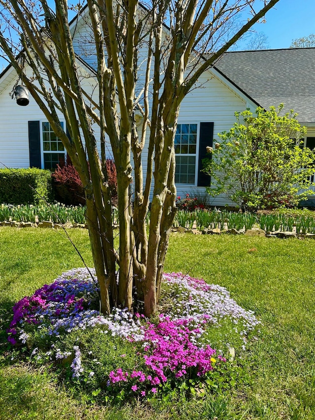 204 Lake Haven Dr, Soddy Daisy, TN 37379 - view of side of home with a yard and a shingled roof