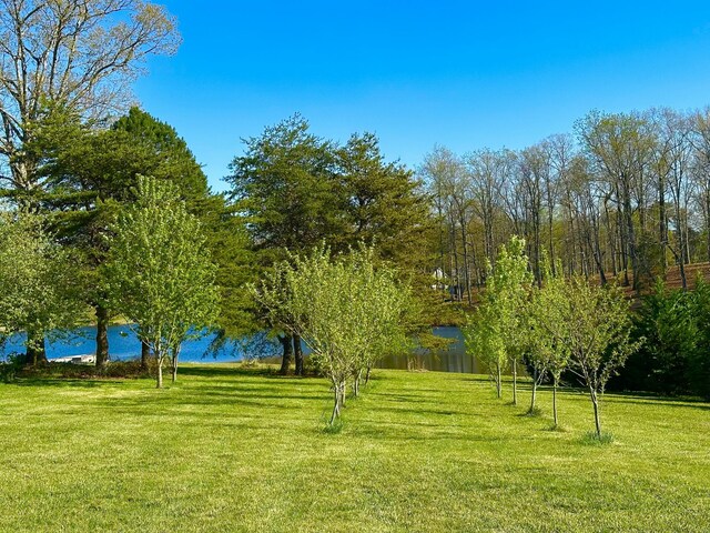 204 Lake Haven Dr, Soddy Daisy, TN 37379 - view of home's community with a yard and a water view