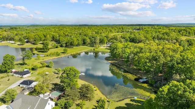 204 Lake Haven Dr, Soddy Daisy, TN 37379 - drone / aerial view of a forest and a nearby body of water
