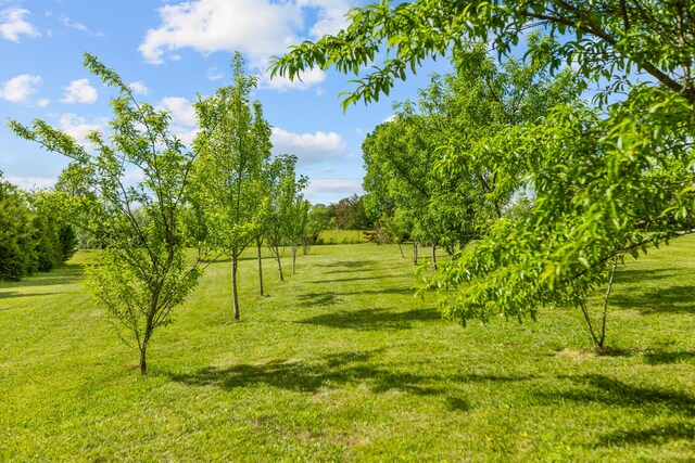 204 Lake Haven Dr, Soddy Daisy, TN 37379 - view of undeveloped land