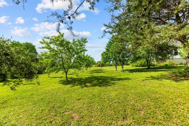 204 Lake Haven Dr, Soddy Daisy, TN 37379 - view of grassy yard