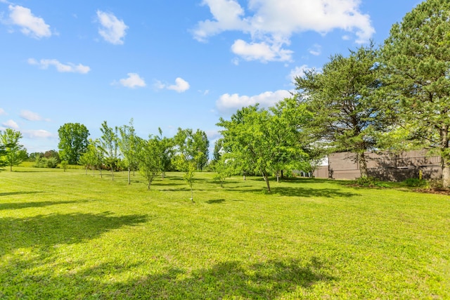 204 Lake Haven Dr, Soddy Daisy, TN 37379 - view of grassy yard