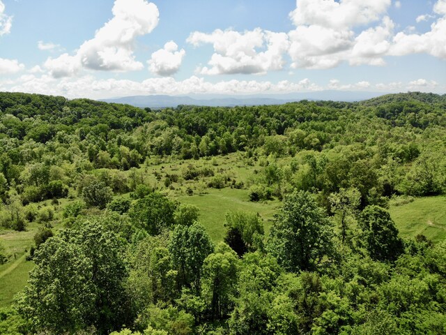 1055 Barbee Rd, Jefferson City, TN 37760
