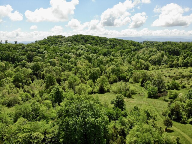 1055 Barbee Rd, Jefferson City, TN 37760