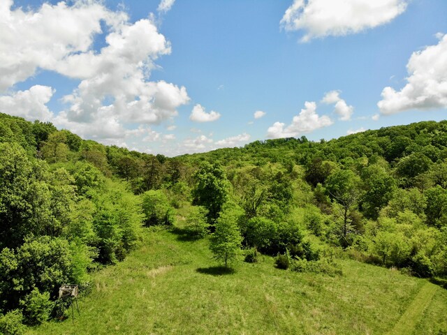 1055 Barbee Rd, Jefferson City, TN 37760