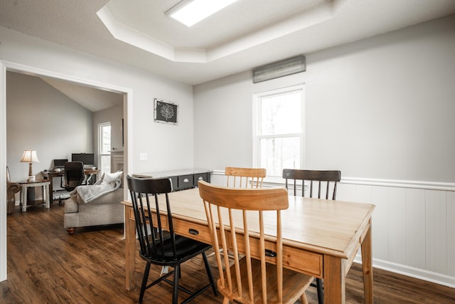 dining room featuring wainscoting, a raised ceiling, a healthy amount of sunlight, and wood finished floors