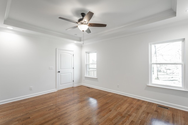 empty room featuring a healthy amount of sunlight, a raised ceiling, and crown molding