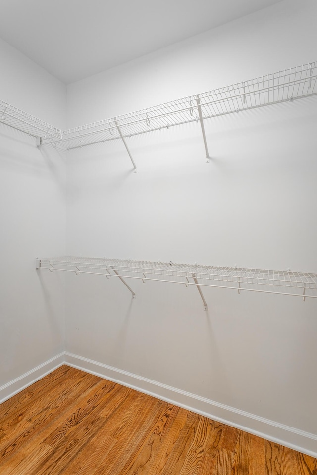 spacious closet featuring light wood-style flooring