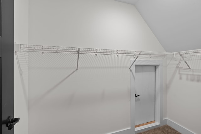 spacious closet with vaulted ceiling and carpet