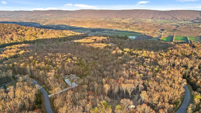 116 Twilight Trl, Dunlap, TN 37327 - photo 4