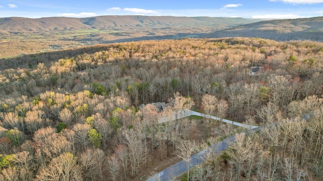 116 Twilight Trl, Dunlap, TN 37327 - photo 76